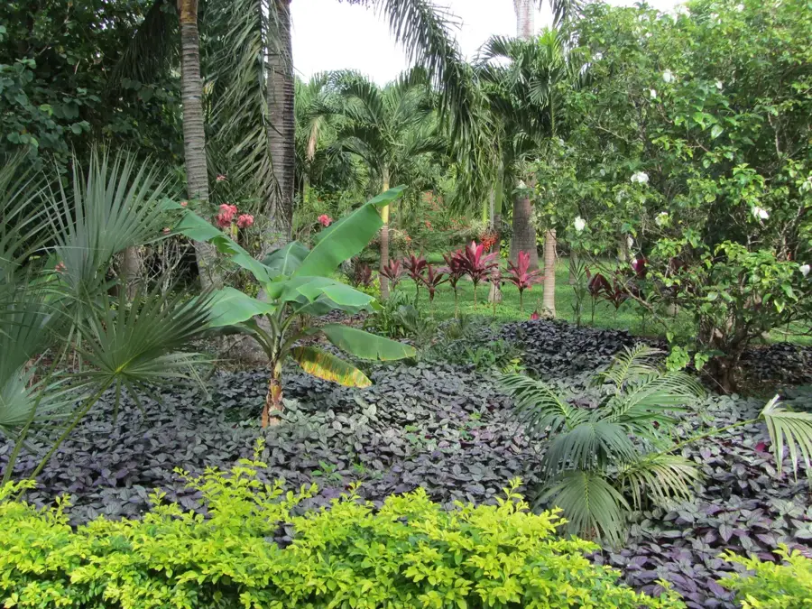 Maire Nui Botanischer Garten