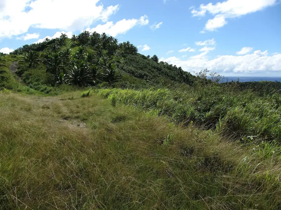 Maungapu