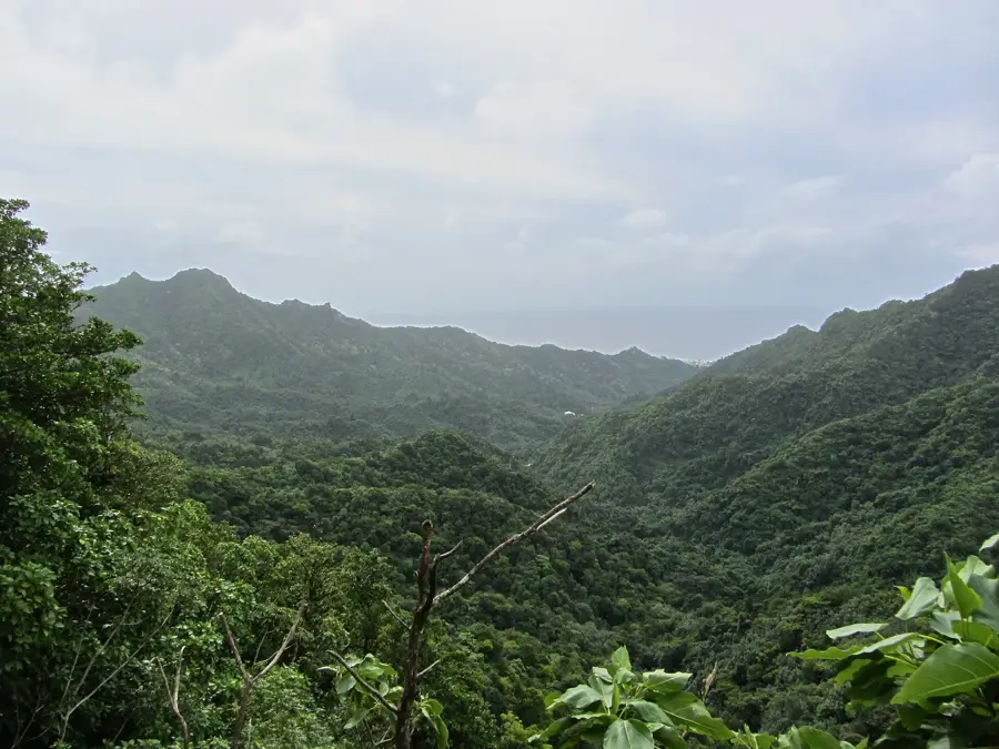 Orovaru