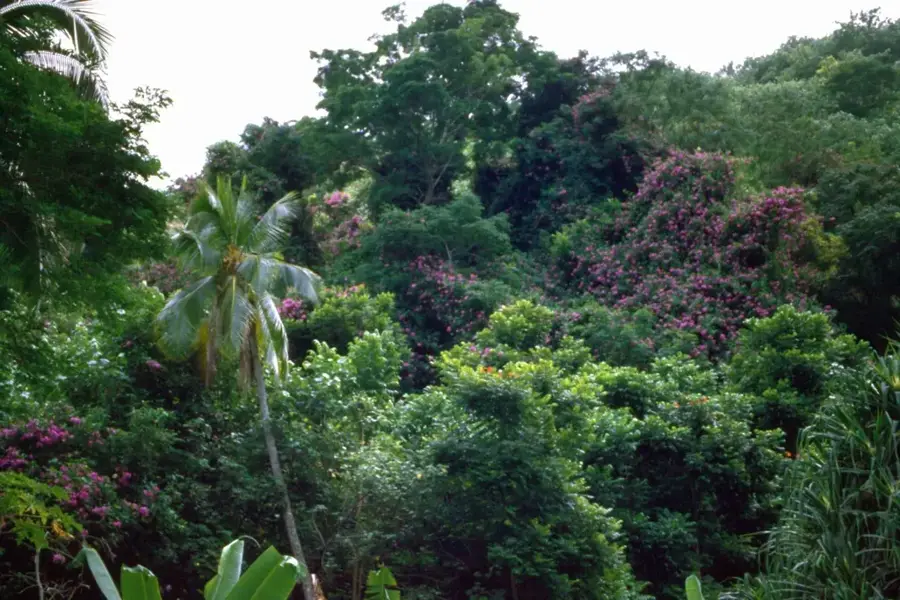 Pukapuka Lagunenschutz — Pukapuka (Cookinseln)