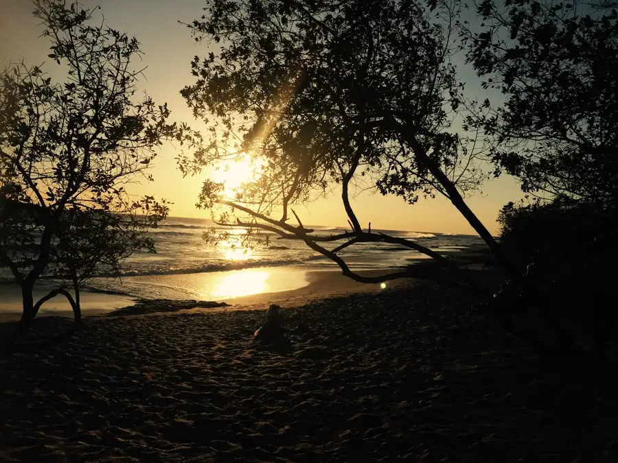 Playa Avellanas — Pacuare River (Costa Rica)