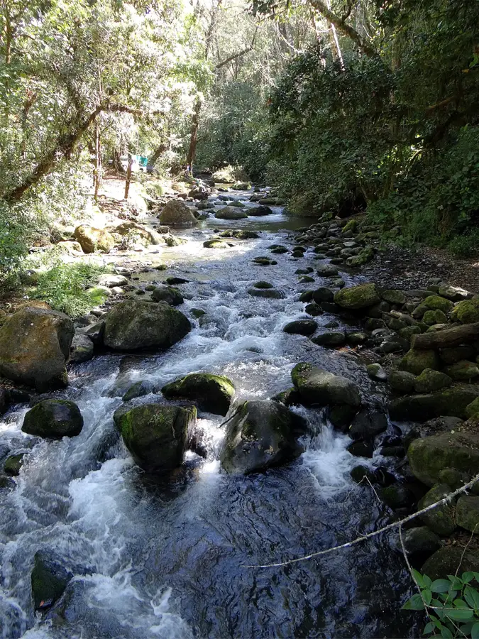 San Gerardo de Dota — Guácimo (Costa Rica)
