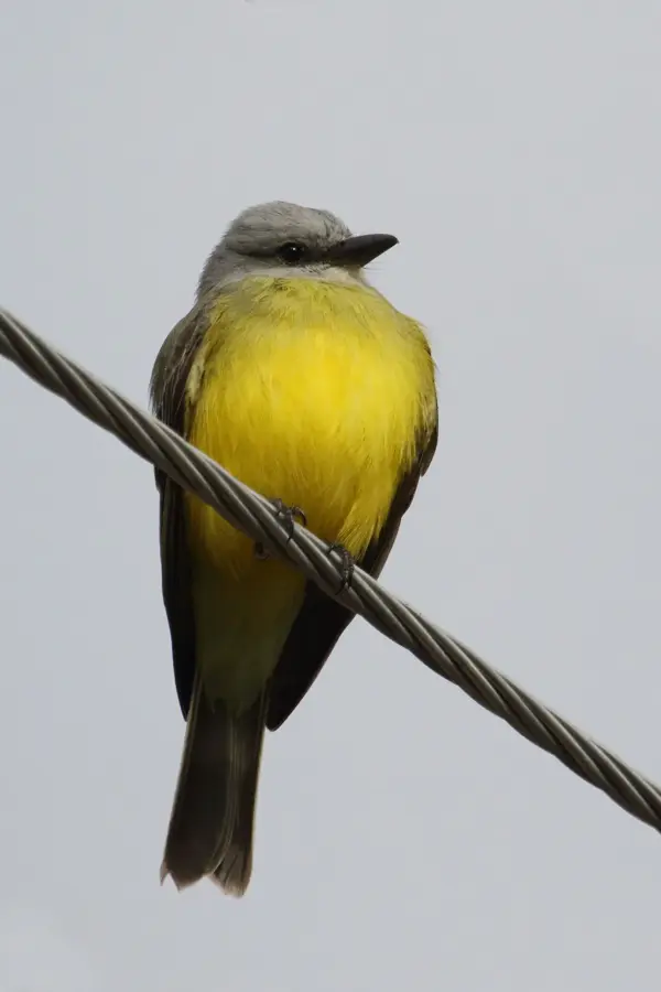 Santa Elena — Siuna (Nicaragua)