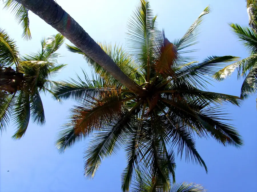 Tortuga Island — Esparza (Costa Rica)