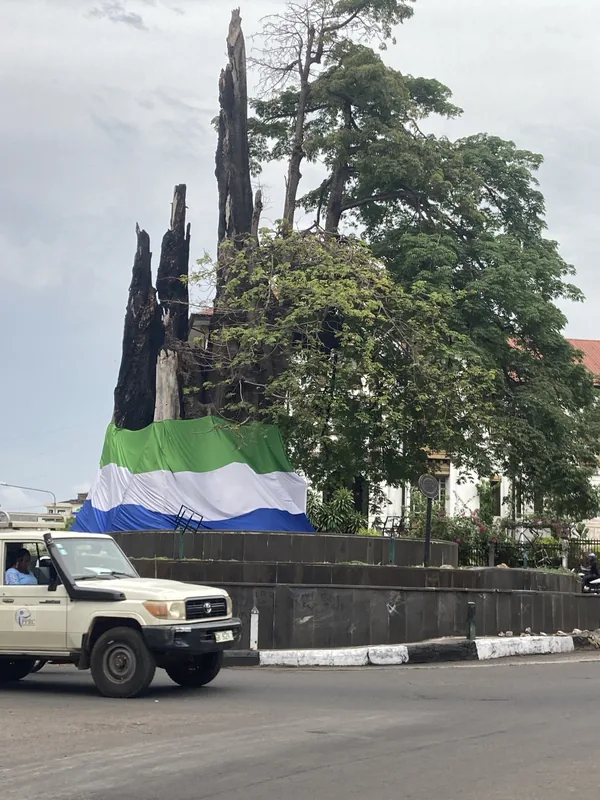 Baumwollbaum von Freetown — Sengbe-Pieh-Denkmal (Sierra Leone)
