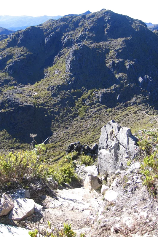 Cerro Chirripo — Guácimo (Costa Rica)