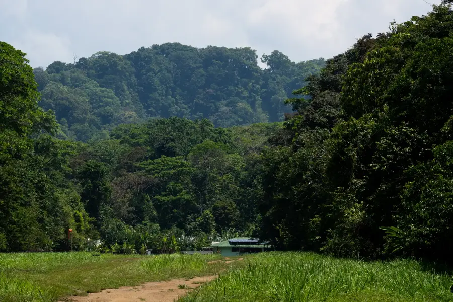 Corcovado National Park — Guácimo (Costa Rica)
