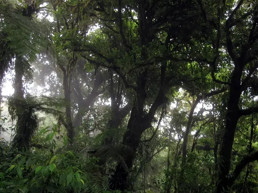 Monteverde Cloud Forest — Pacuare River (Costa Rica)