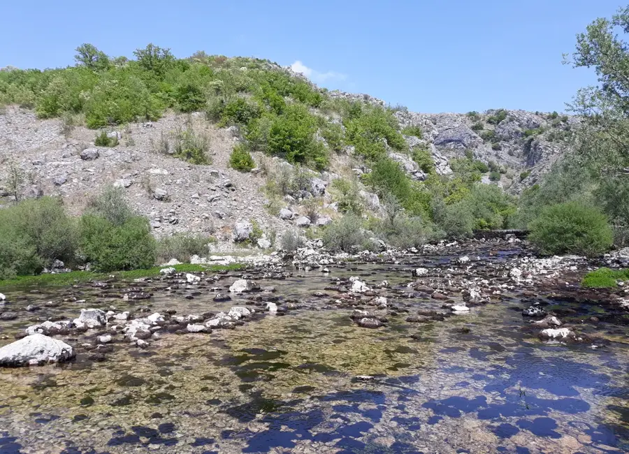 Bajagić — Saada (Jemen)