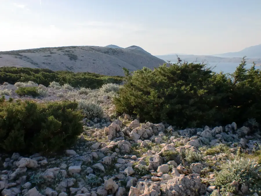 Bošana — Ćunski (Croatia)
