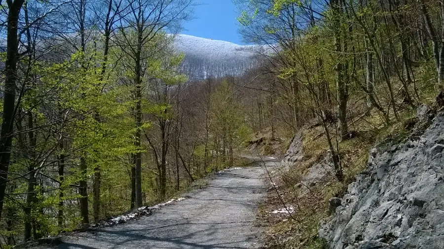 Brušane (Croatia)