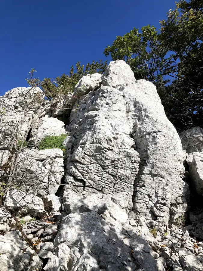 Ćićarija