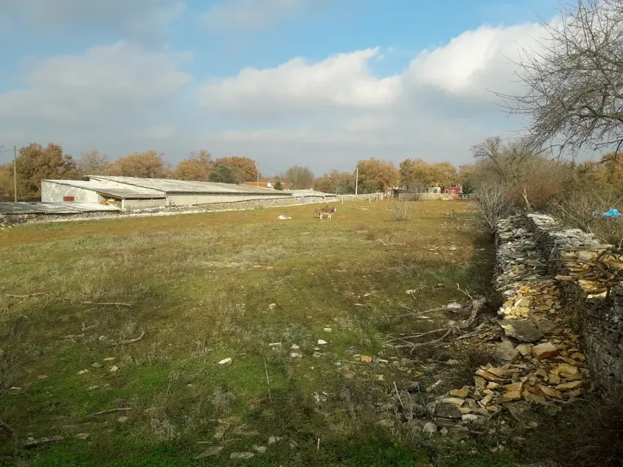 Cukrići (Croatia)