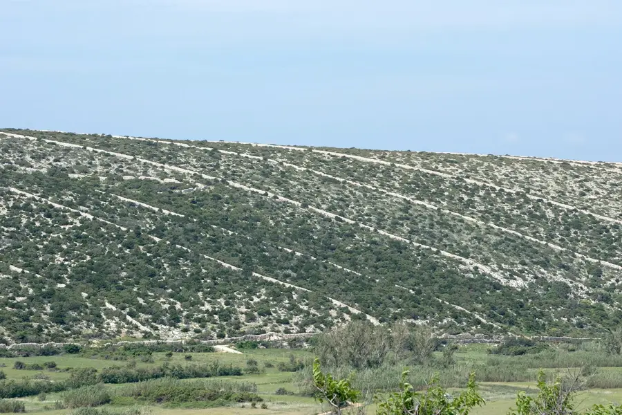 Kolan — Karlobag (Croatia)