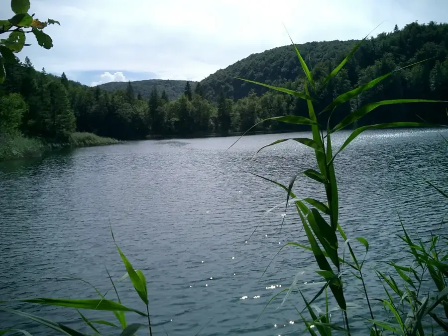 Kozjak