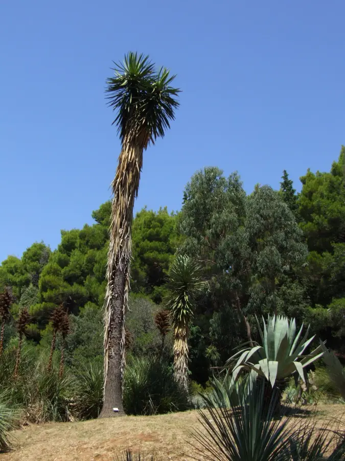 Lokrum Island
