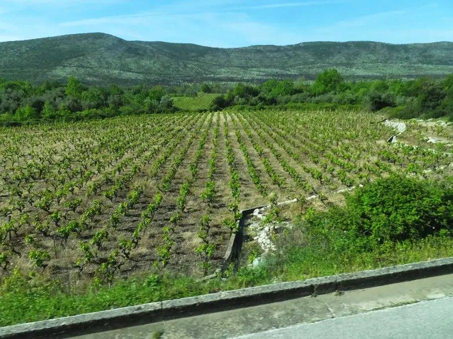 Metohija — Ston (Croatia)