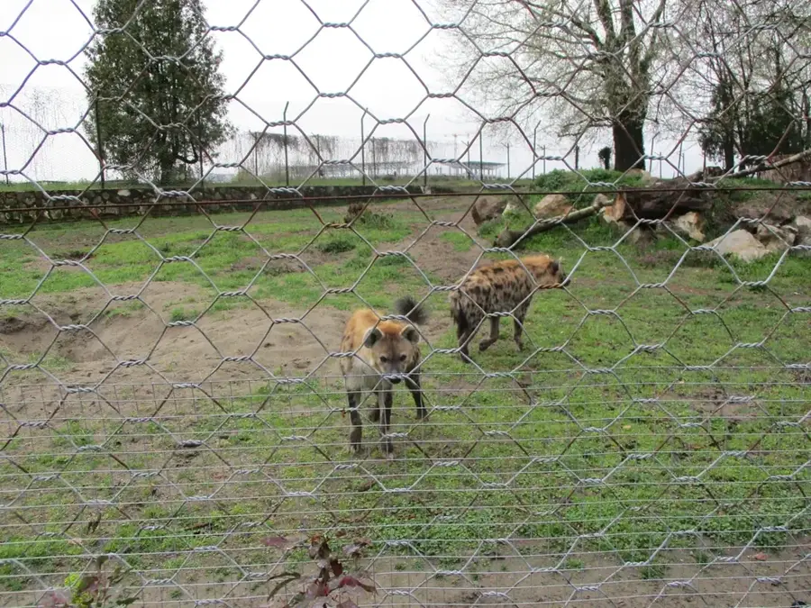 Osijek Zoo