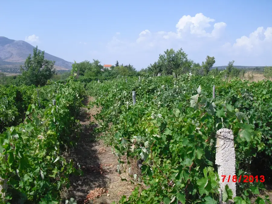 Parčić (Drniš) (Croatia)