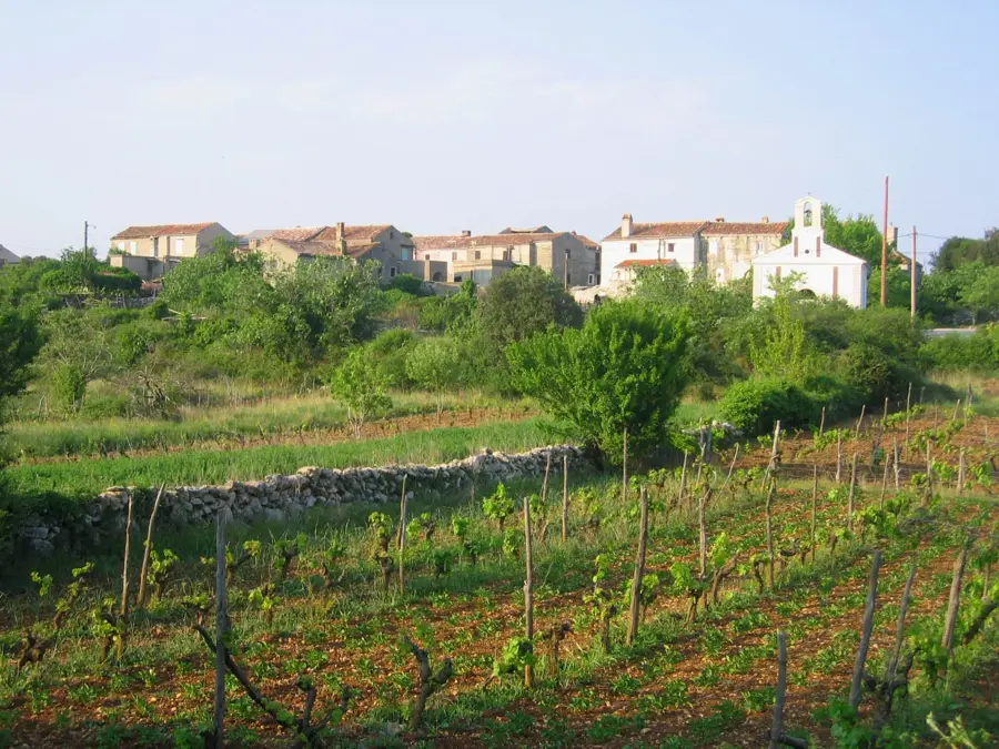 Pernat — Galižana (Croatia)