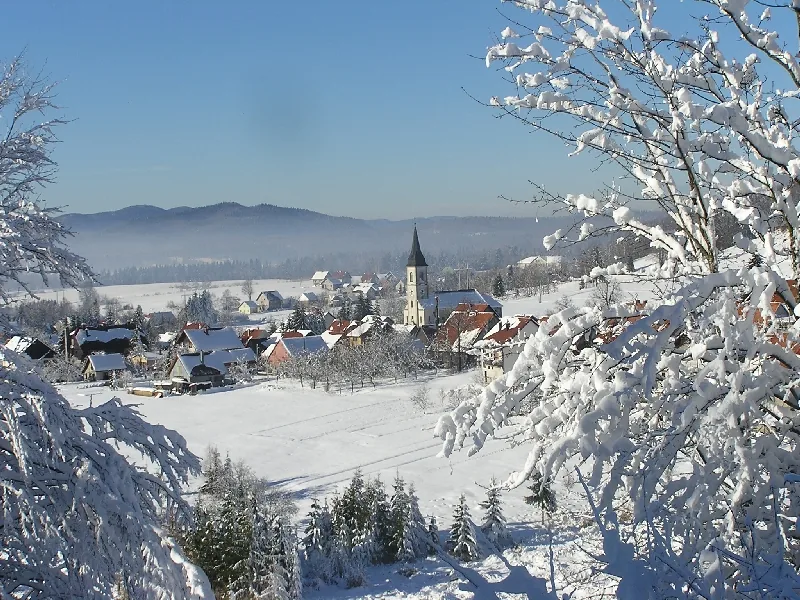 Ravna gora