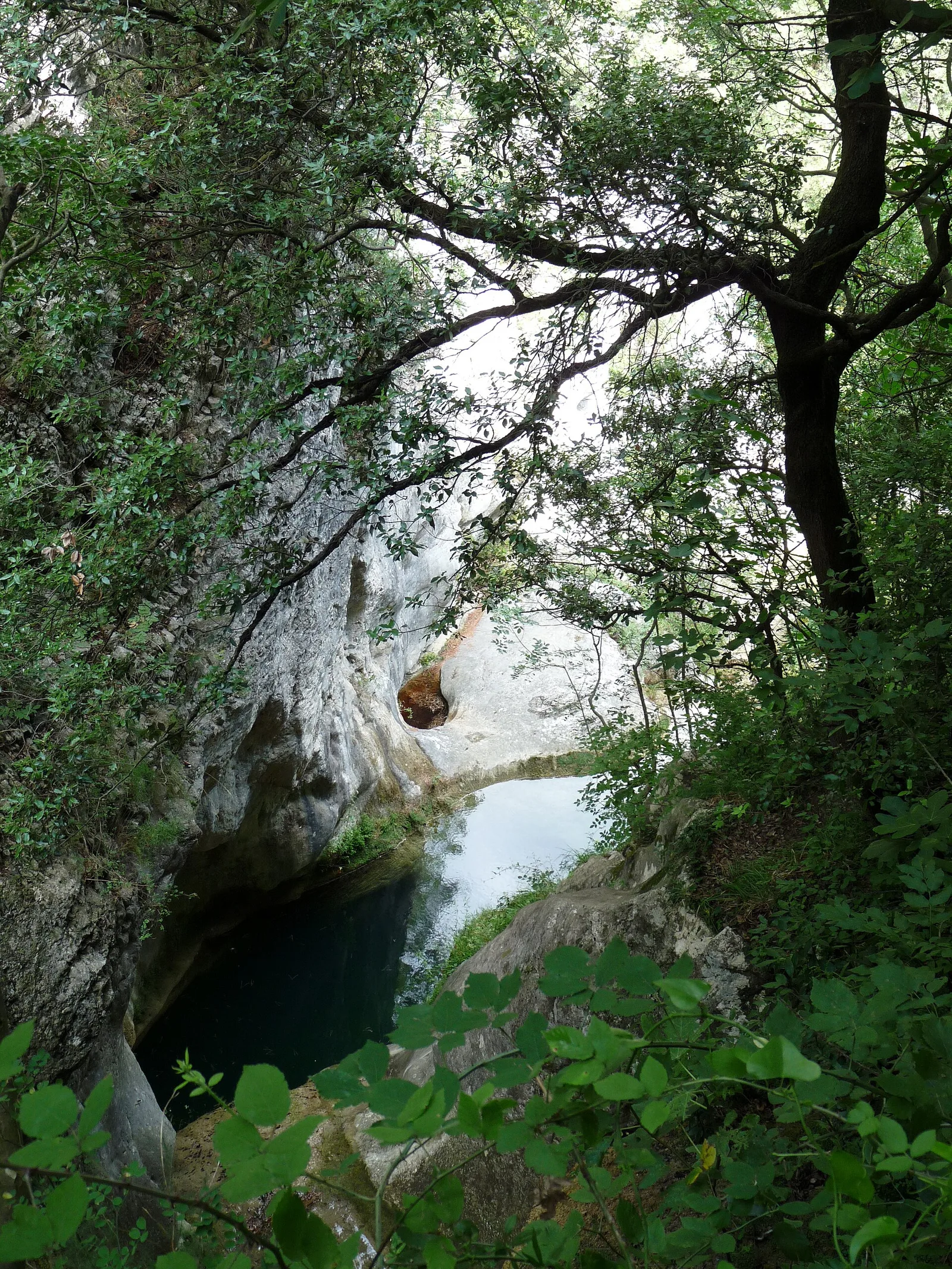 Ripenda Kras — Jurandvor (Croatia)