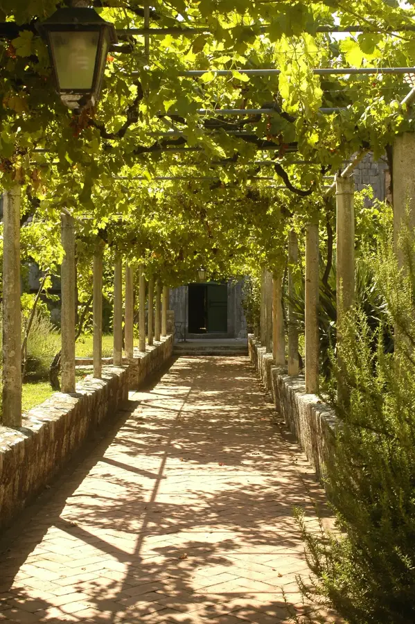 Suđurađ (Croatia)