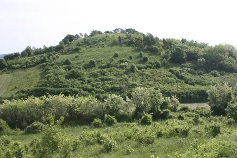 Vižinada (Croatia)