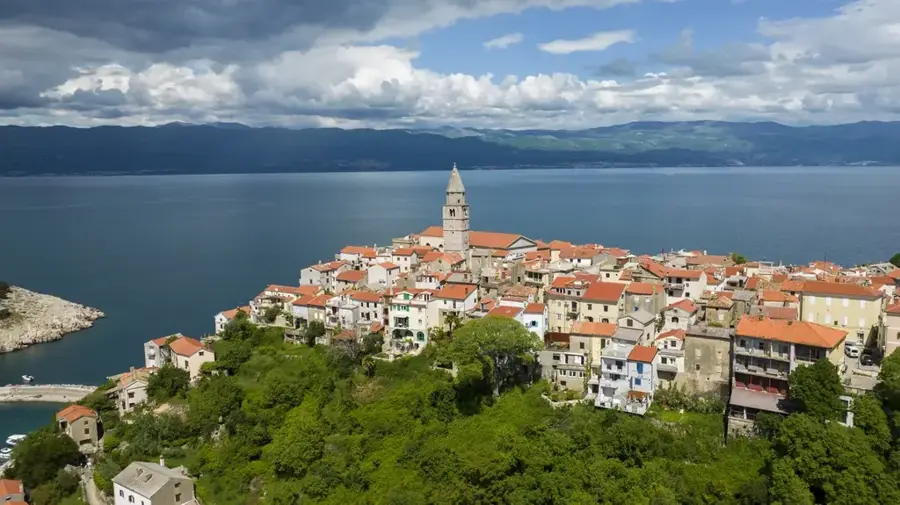 Vrbnik Vineyards