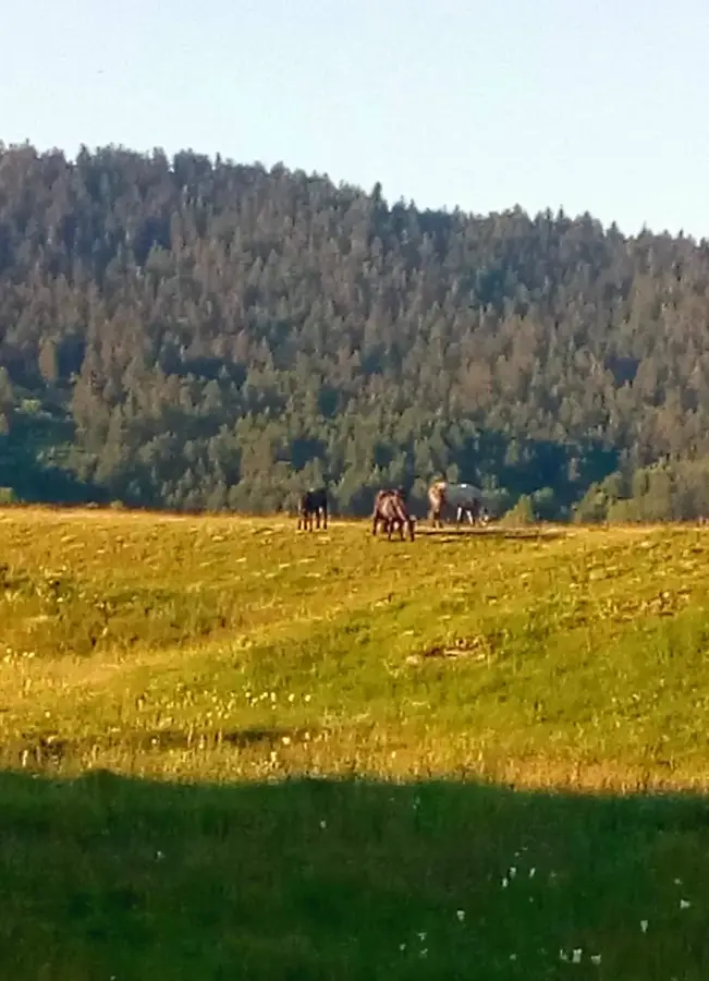 Vrhovine — Bihać (Bosznia-Hercegovina)