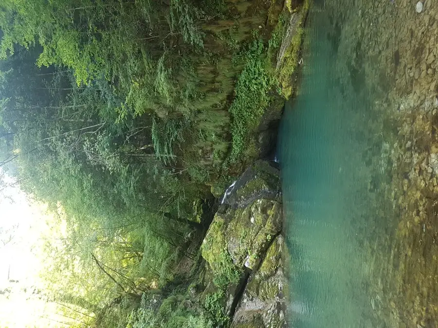 Green Whirlpool
