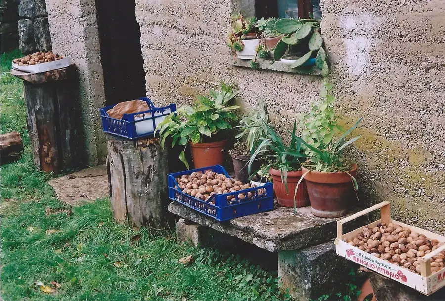 Županići (Croatia)