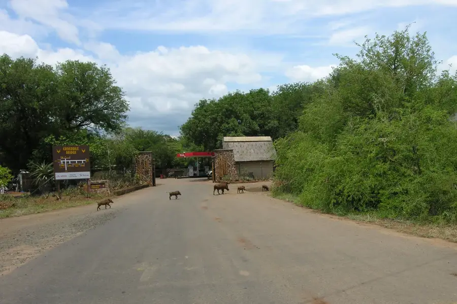 Crocodile Bridge Gate — Ermelo (Südafrika)