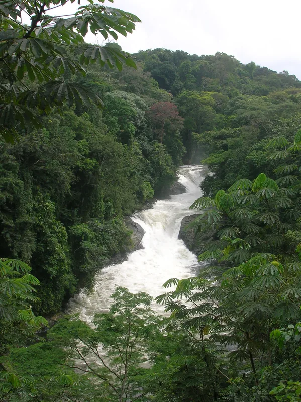Cross-River-Regenwald — Tinapa Resort (Nigeria)