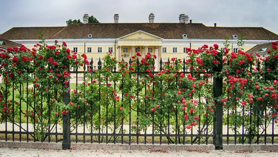 Csákvár — Tata (Magyarország)