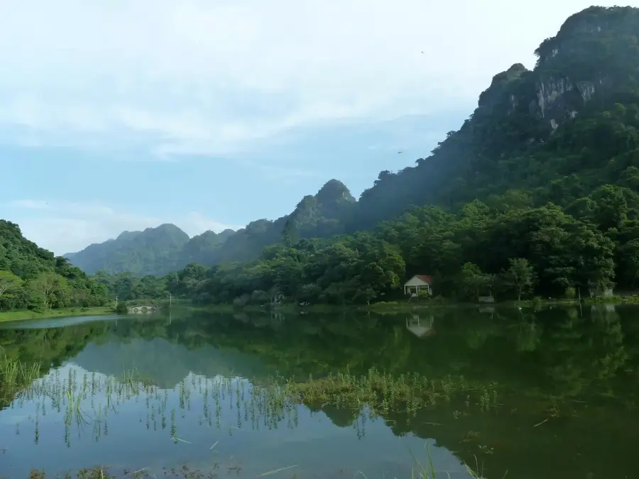 Cúc Phương Schildkröten-Schutzzentrum — Ninh Bình (Vietnam)