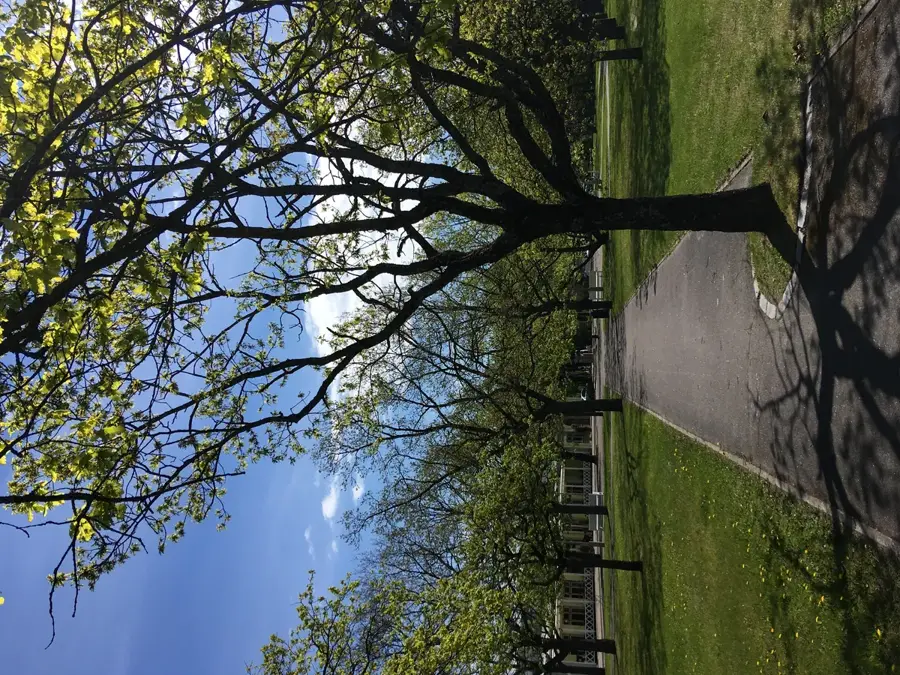 Pärnu strand