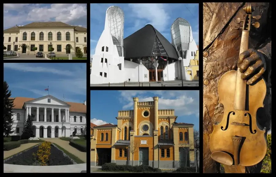 Zwiebelanbau Saint-Louis