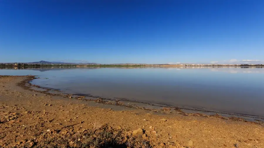 Salzsee von Larnaca — Festung von Larnaca (Zypern)