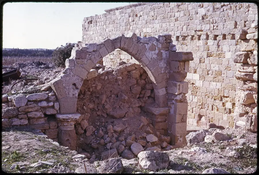 Akrotiri Halbinsel Küste — Karneval in Limassol (Zypern)