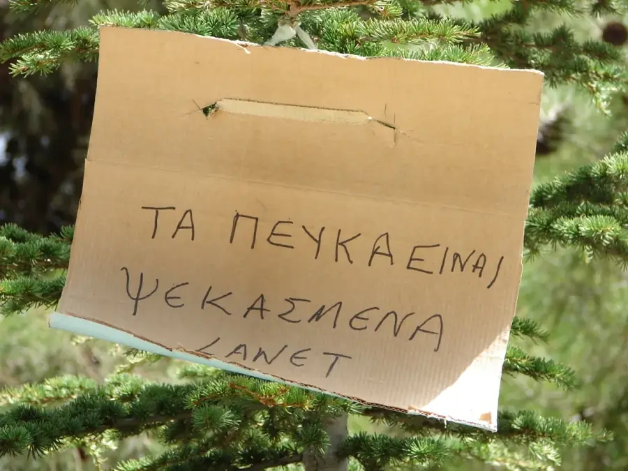 Papoutsa Gipfel