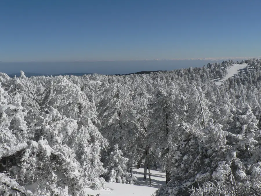 Troodos