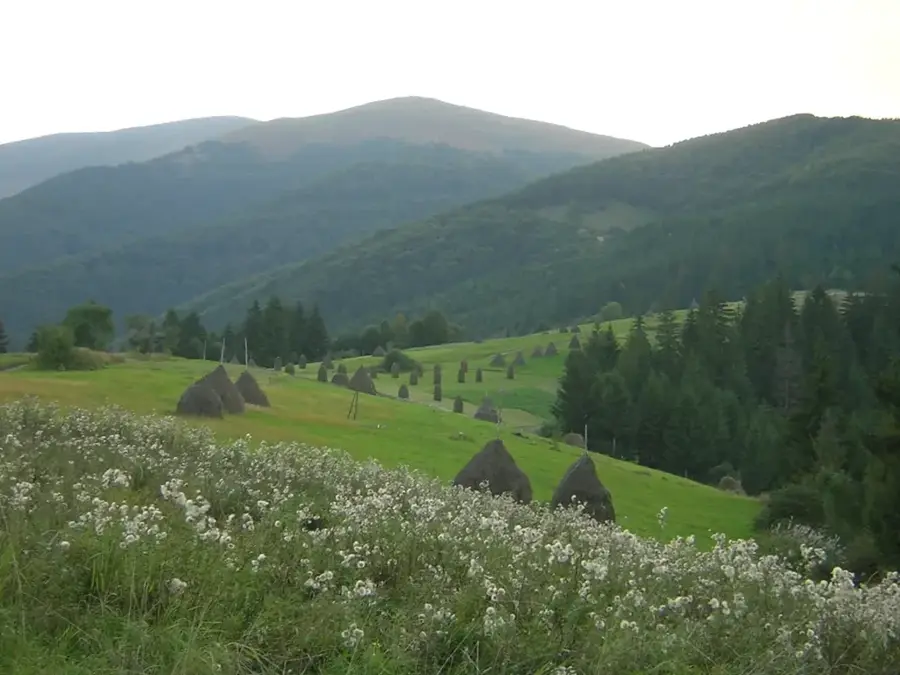 Munții Beskydy
