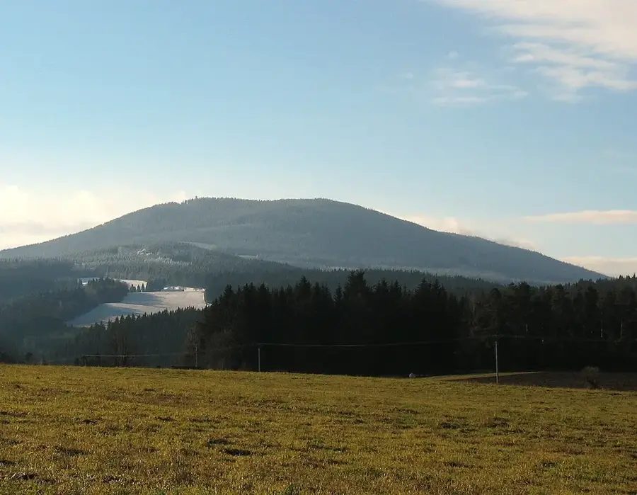 Boubín-Urwald