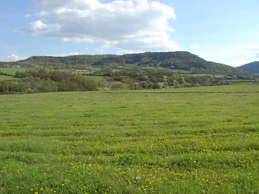 Duppauer Gebirge