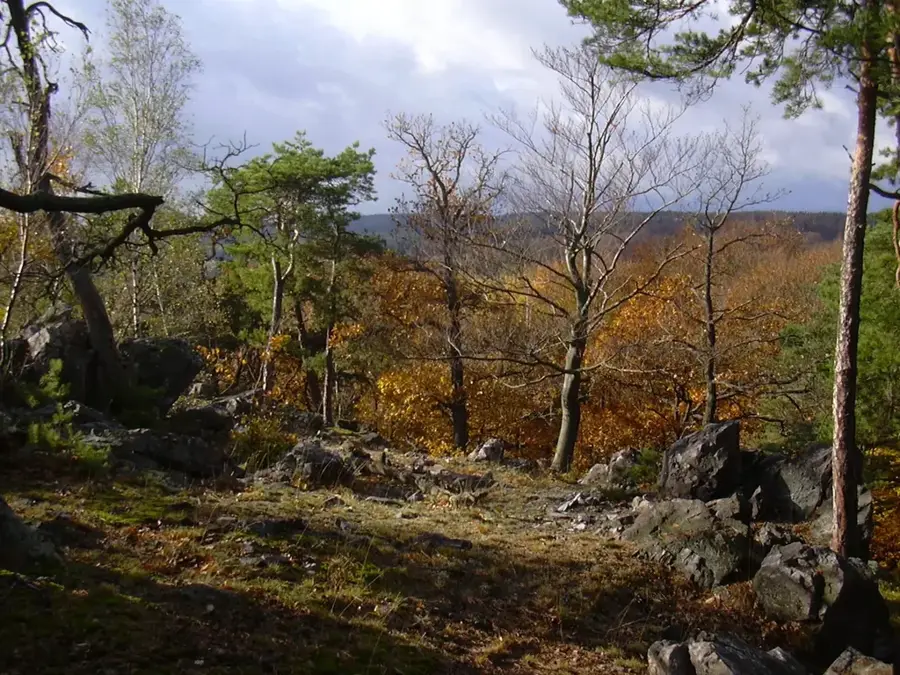 Pădurea Křivoklátsko — Castelul Křivoklát (Cehia)