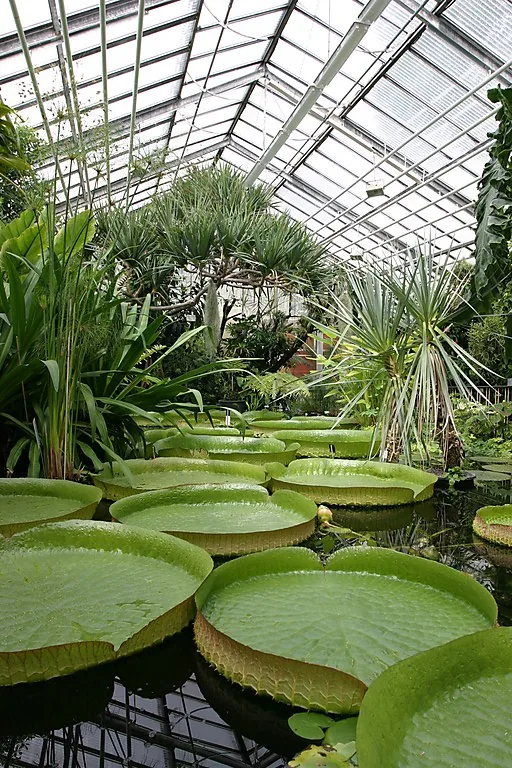 Botanischer Garten Prag — Aquapalace Prag (Tschechien)