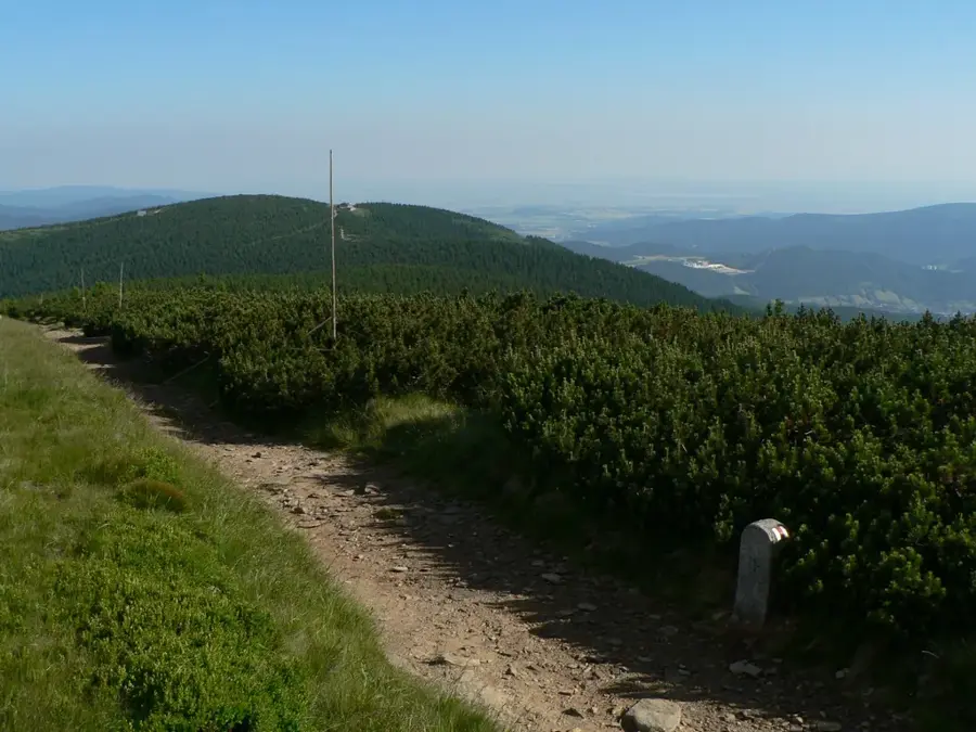 Hochschar