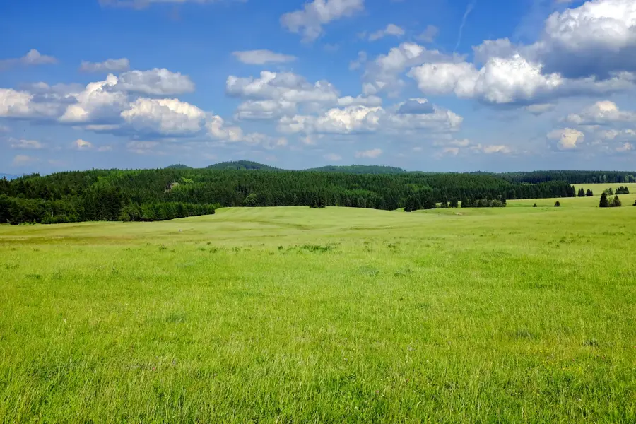 Kaiserwald