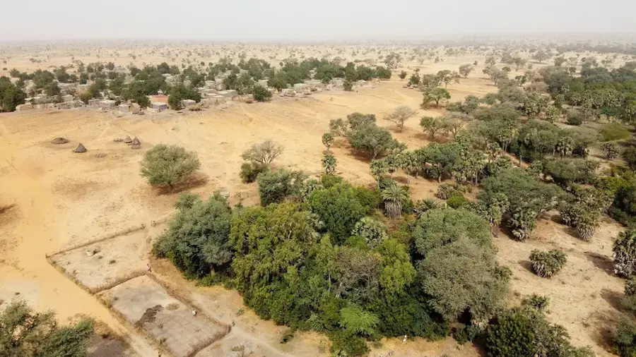 Dallol-Bosso-Talung — Dosso Kindermuseum (Niger)